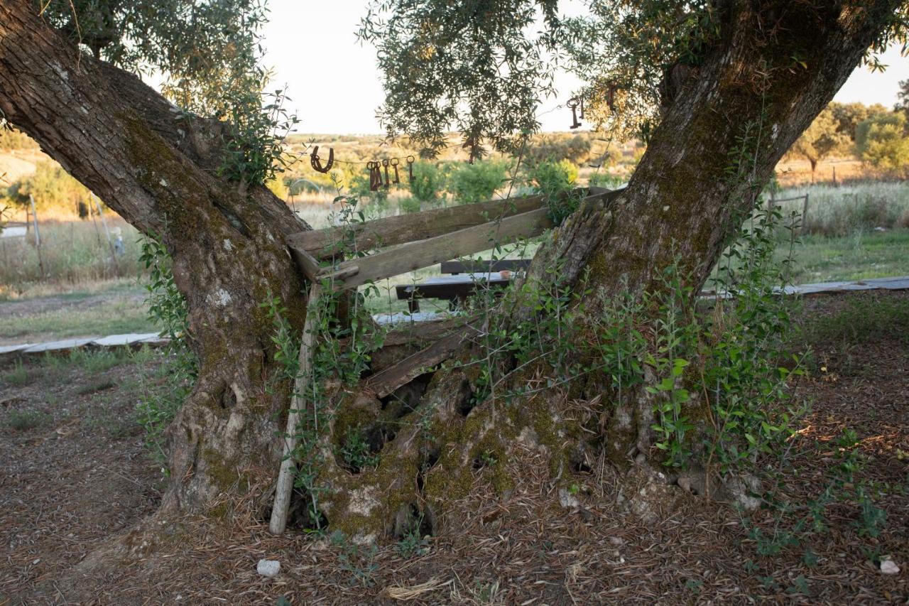 Monte Dos Vicentes Herdade Da Yucca Terena Exterior photo