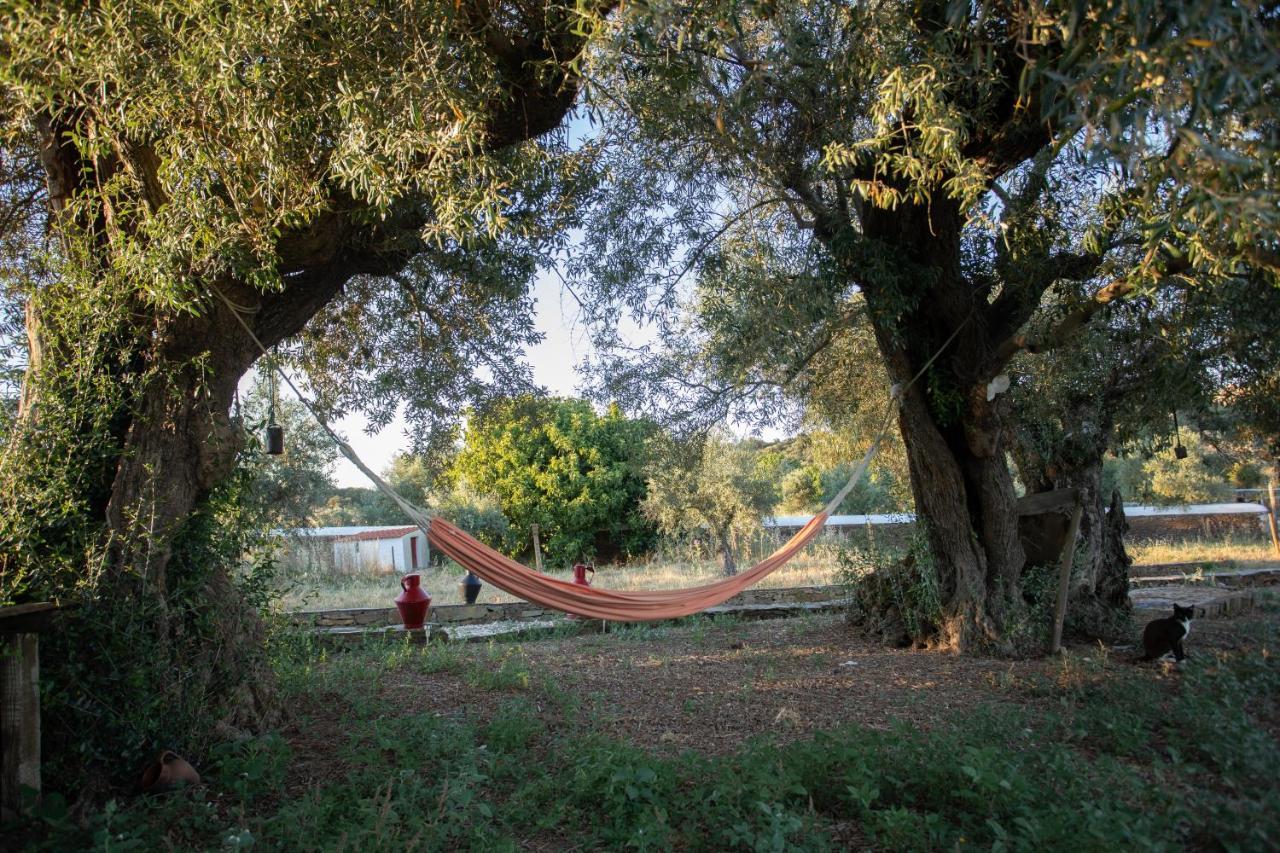 Monte Dos Vicentes Herdade Da Yucca Terena Exterior photo